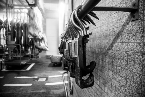 2014 02 19 Abattoir LuxeuilIMG 8706